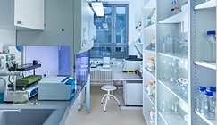 產品多樣化 產品多樣化